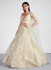 Pretty Looking Lehenga Choli in Cream